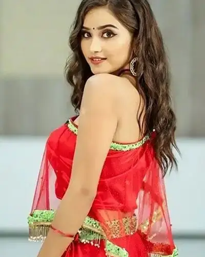 Call Girls Service Siwani